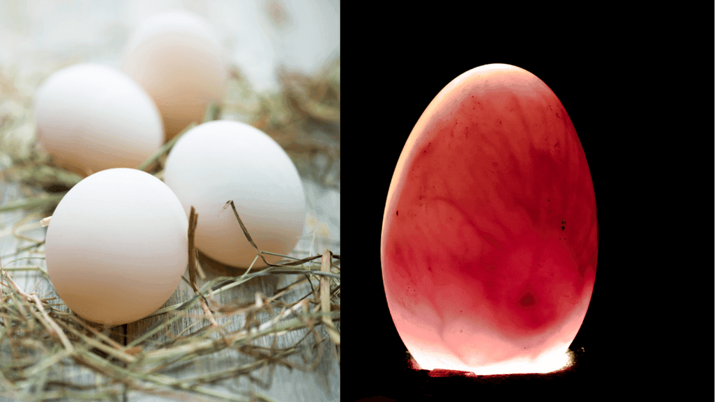 Candling Duck Eggs