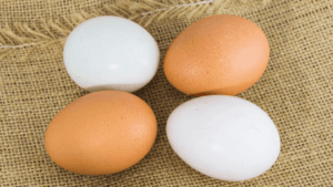 Duck Eggs vs Chicken Eggs