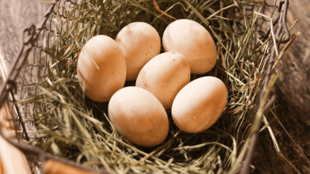 How to Use Duck Eggs: Tips for Cooking and Baking 1 How to Use Duck Eggs