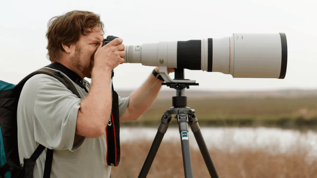 bird photography equipment