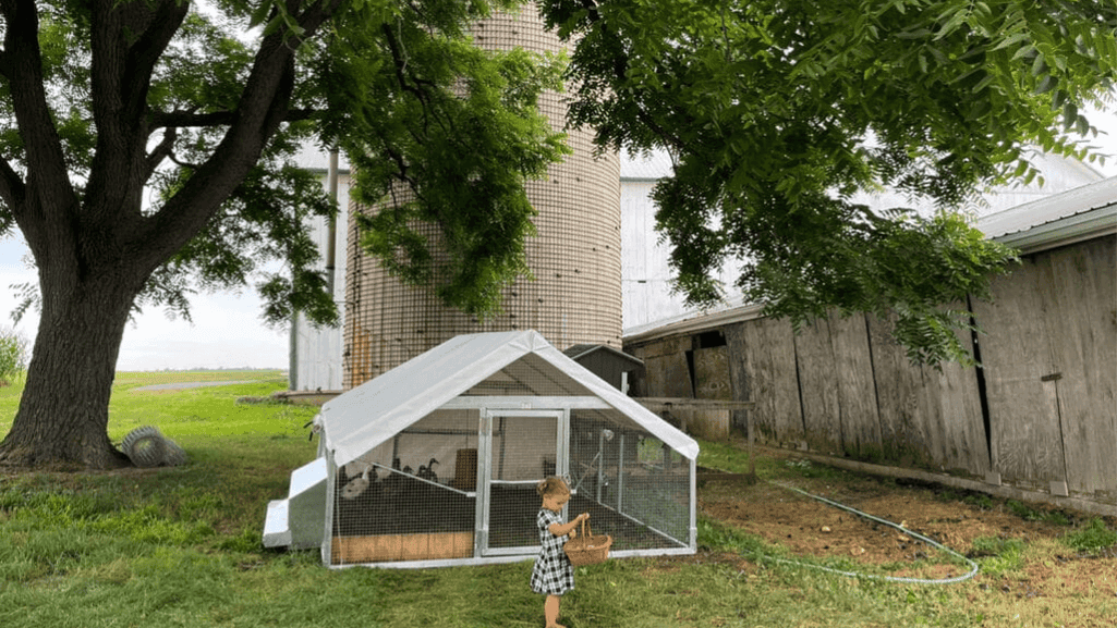 duck coop design considerations