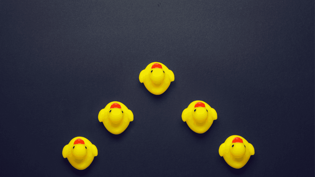 personalized duck gifts