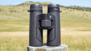 Best Binoculars for Bird Watching