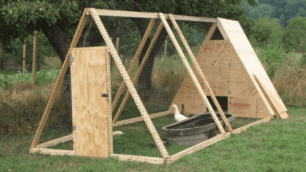 Create a Cozy DIY Duckling Pen: Your Guide 1 DIY Duckling Pen