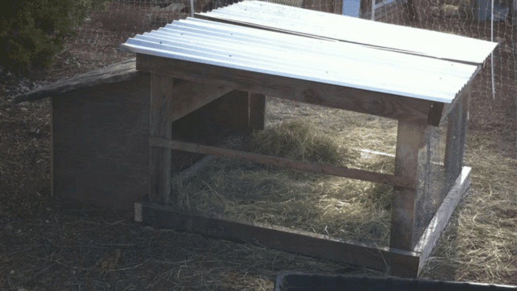 DIY duck shelter plans