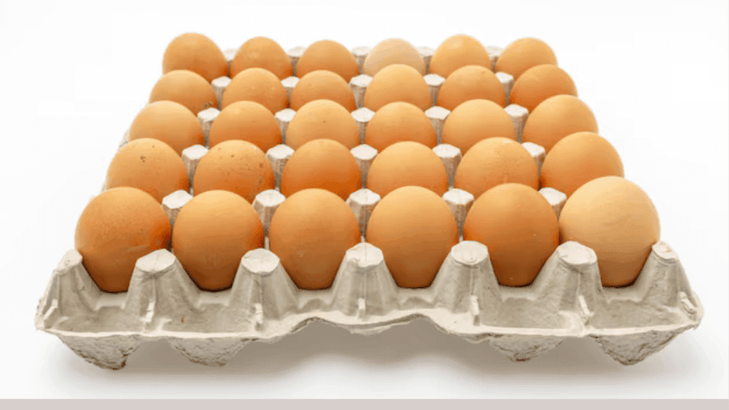 Buy Quality Goose Egg Cartons for Safe Transport 1 Goose Egg Cartons