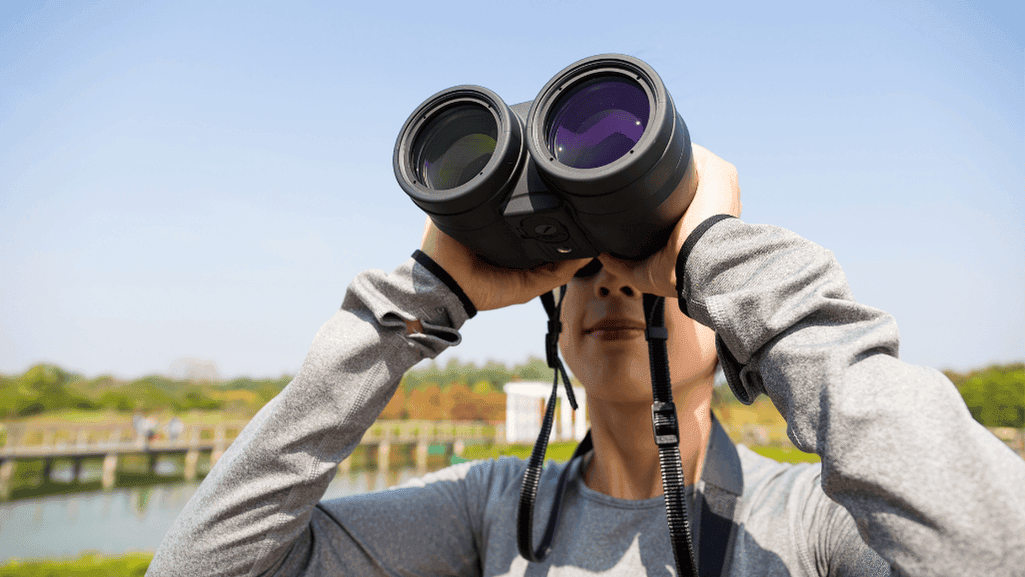 Top binocular brands for bird watching