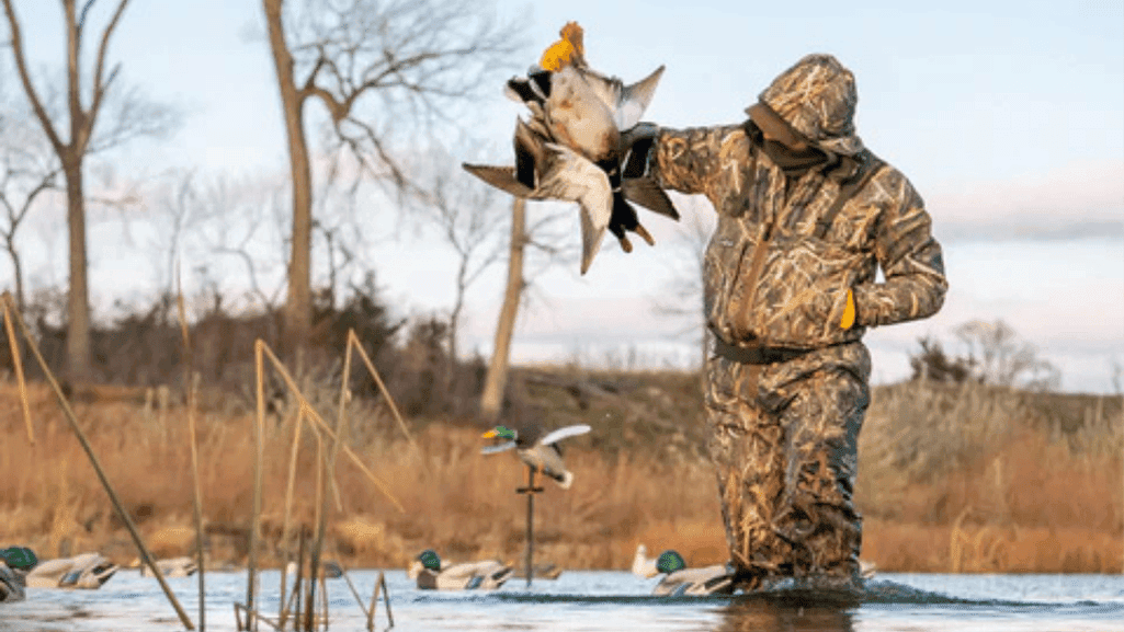 duck hunting