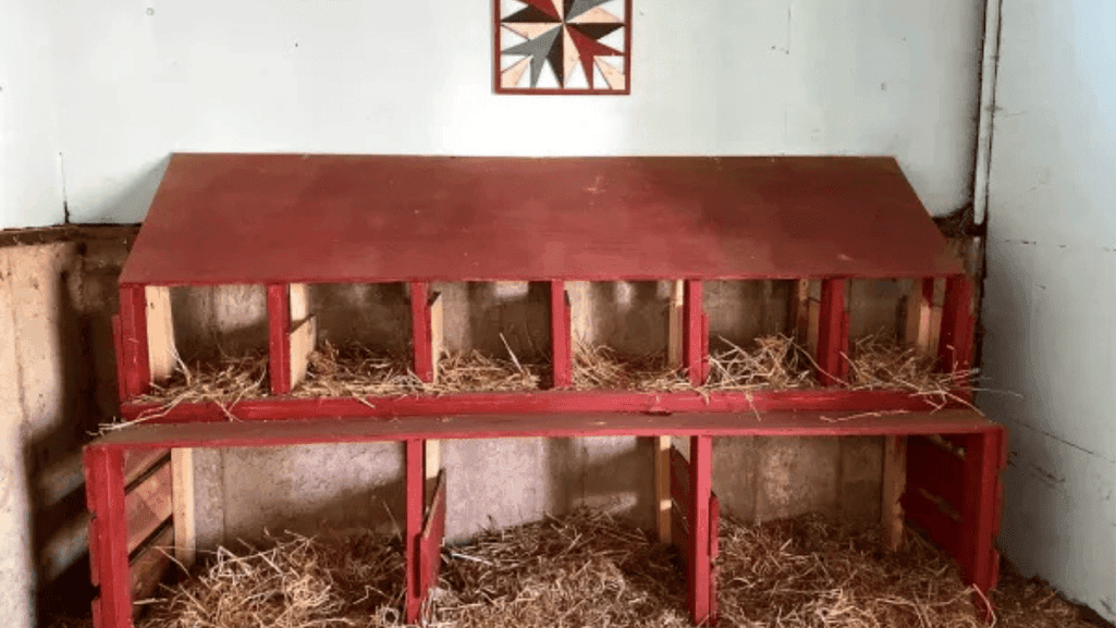 duck nesting boxes in a duck coop
