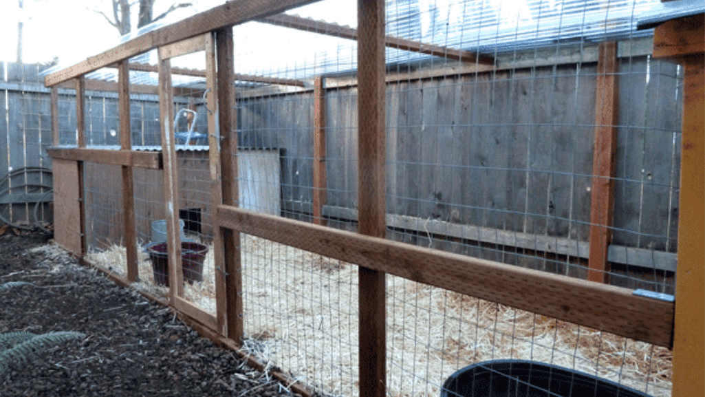 duckling housing plans
