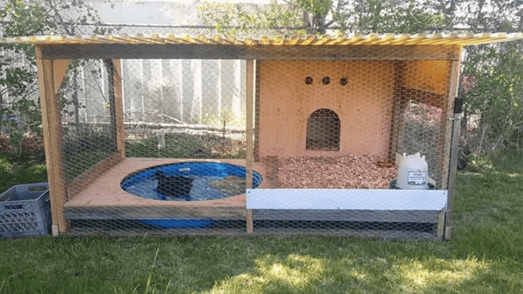 duckling housing setup