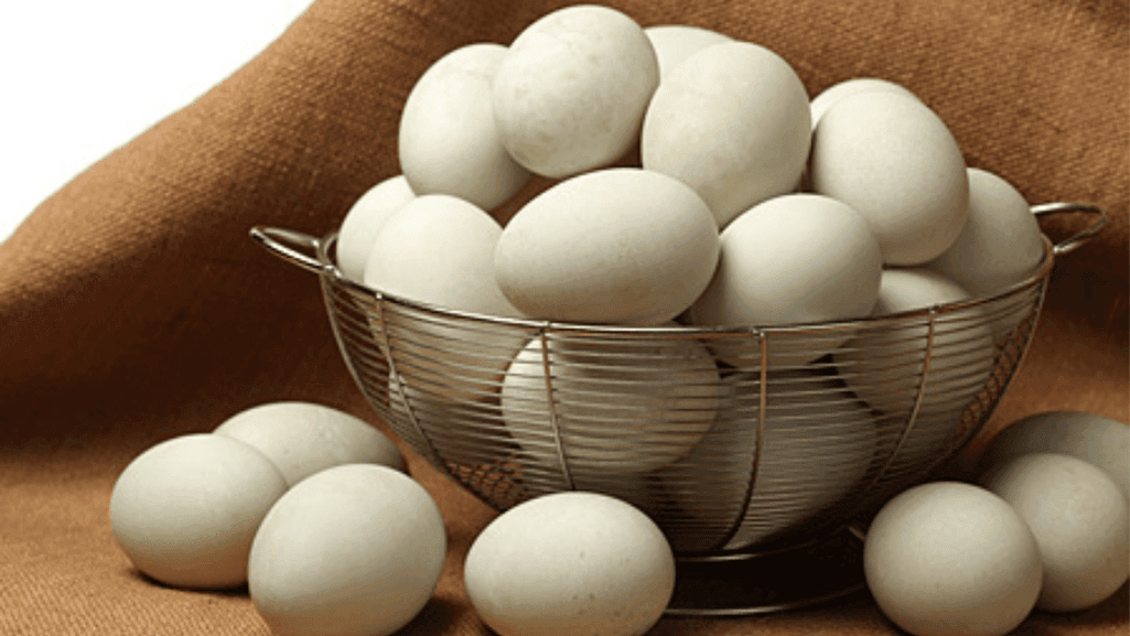 duck egg handling